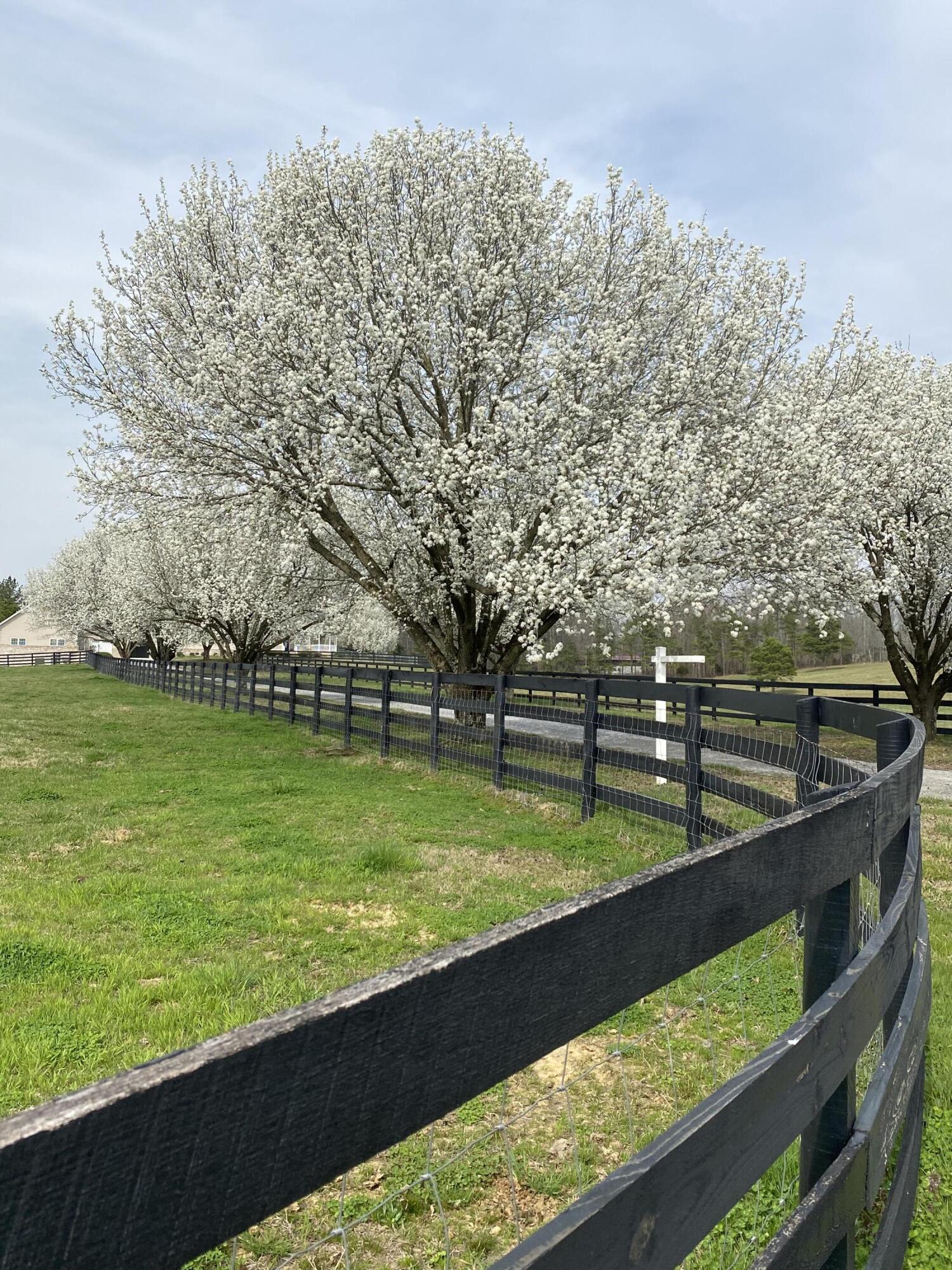 255 Ramsey Bridge Road Southeast Cleveland, TN 37323 - Photo 8 of 72 6A3BBF30-7D6F-4289-ACC0-5EE1F9A88F11