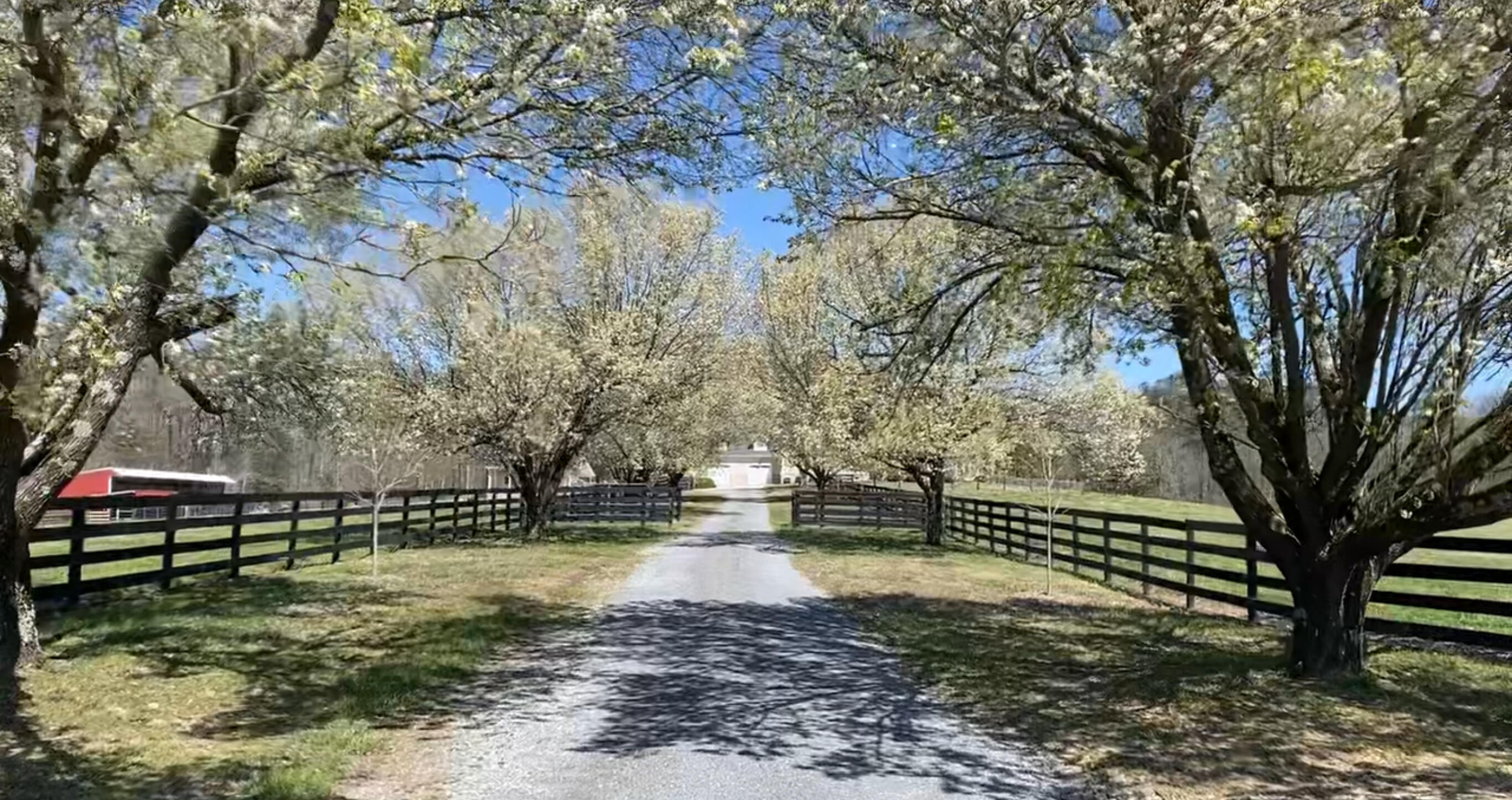 255 Ramsey Bridge Road Southeast Cleveland, TN 37323 - Photo 9 of 72 IMG_4721