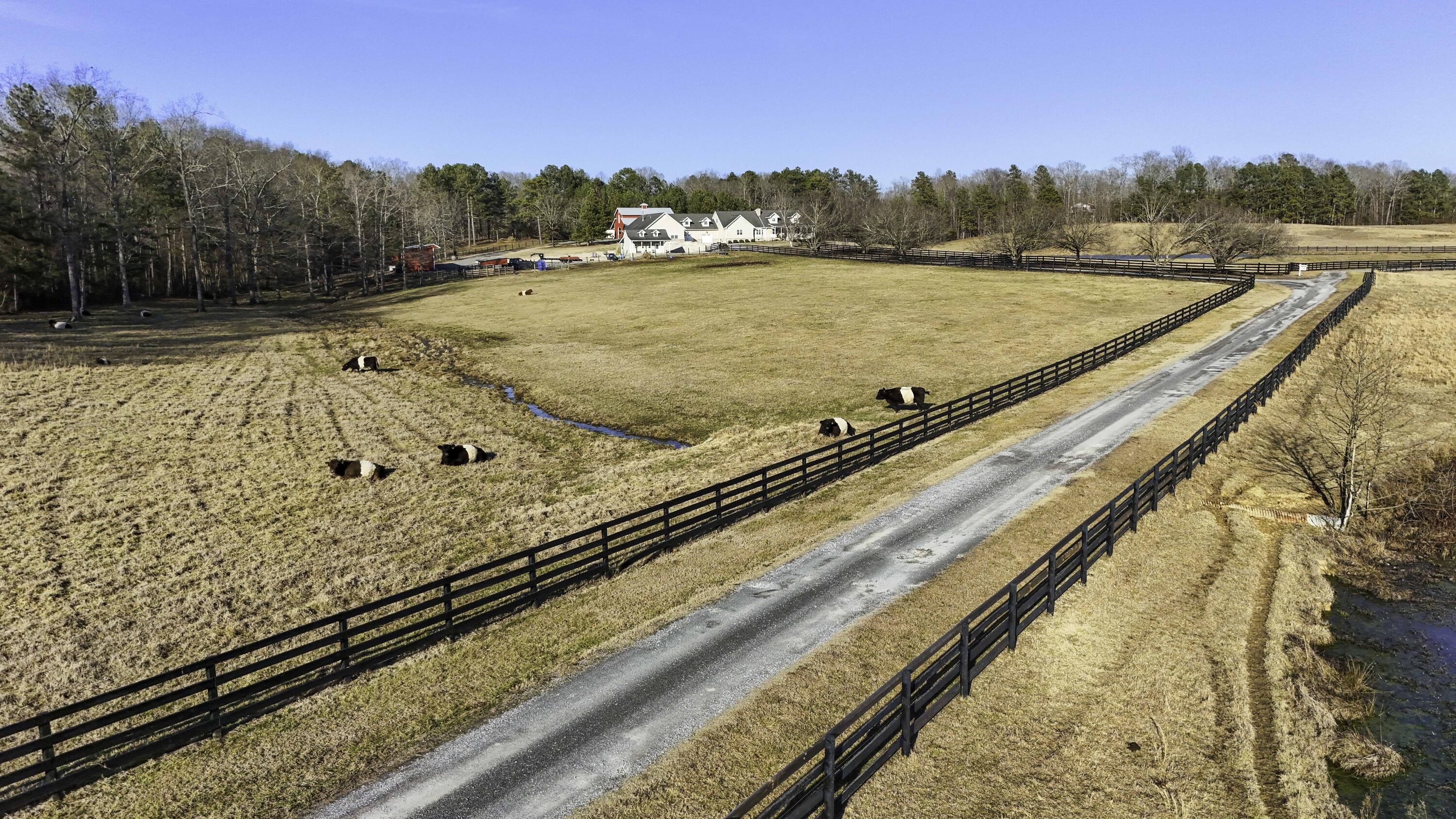 255 Ramsey Bridge Road Southeast Cleveland, TN 37323 - Photo 10 of 72 DJI_20250203164452_0044_D