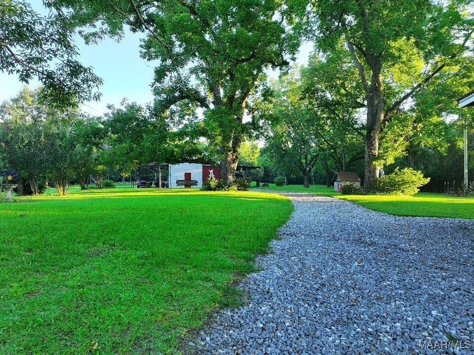 1205 Turkey Creek Road Luverne, AL 36049 - Photo 48 of 51 Gallery Image 48