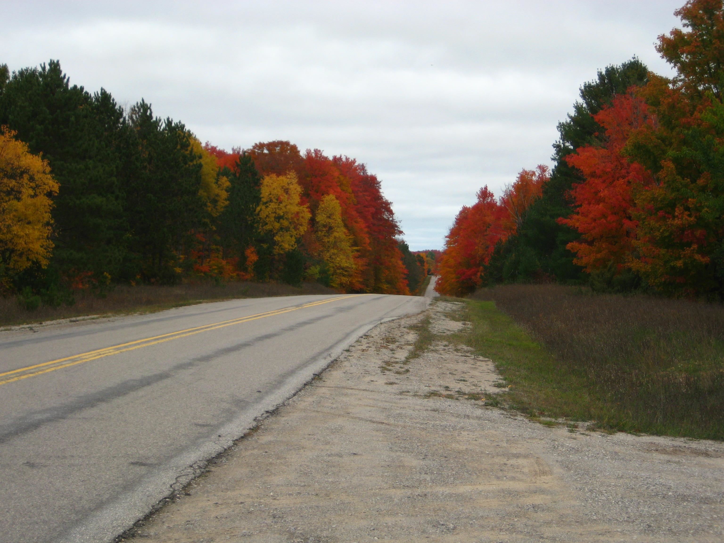 75-acres East Kasson Road Maple City, MI 49664 - Photo 5 of 15 Gallery Image 5