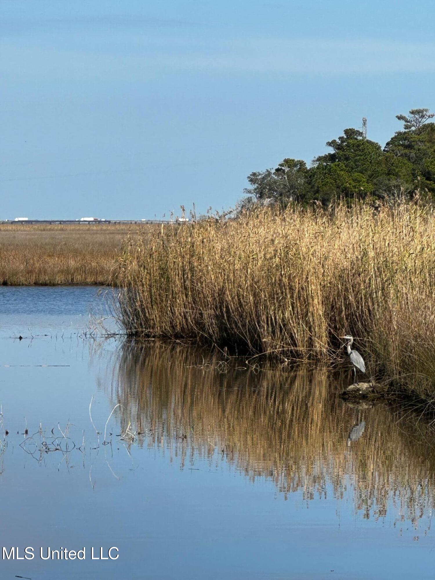 Milstead Road Gautier, MS 39553 - Photo 2 of 9 IMG_2886