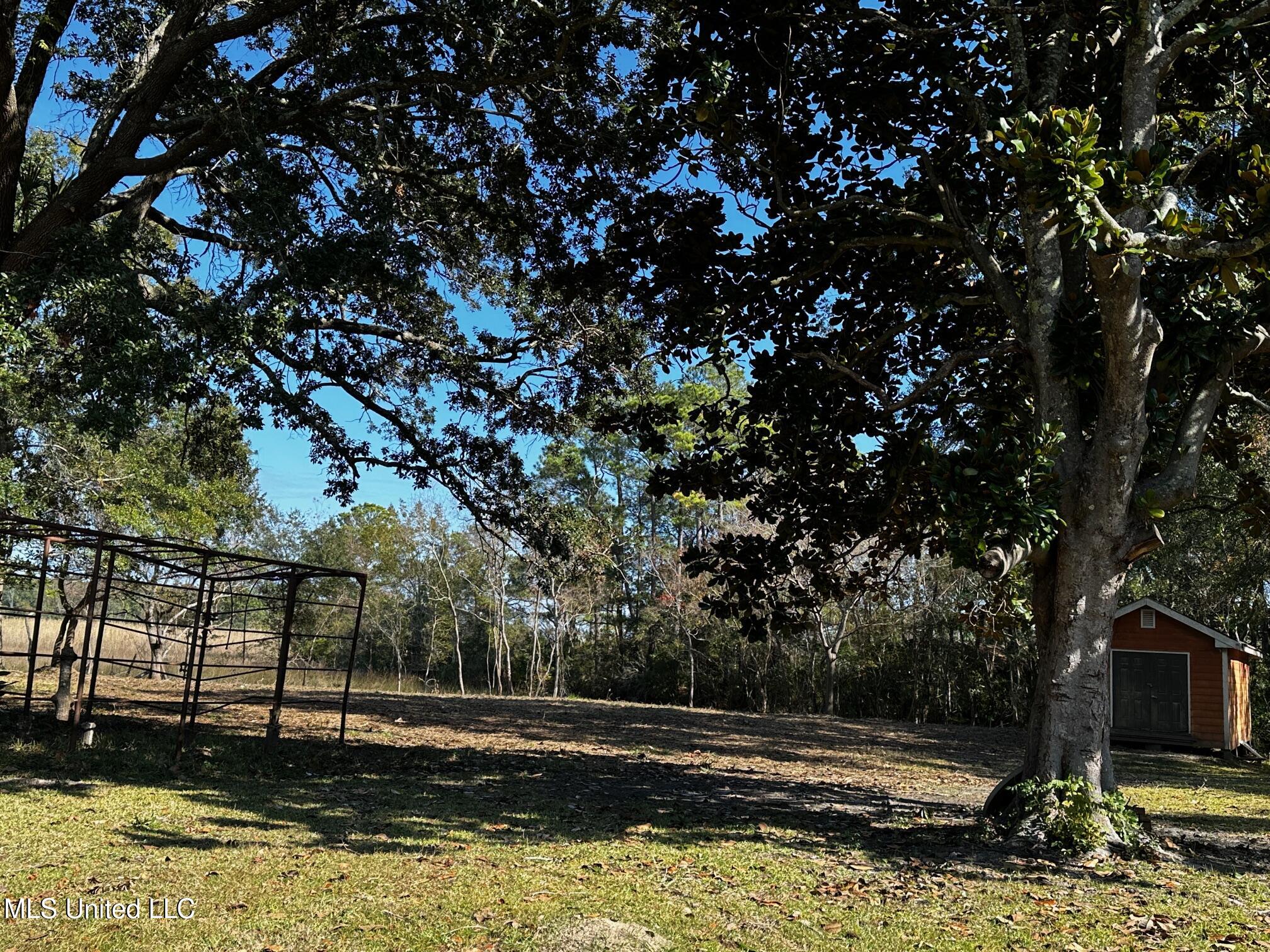 Milstead Road Gautier, MS 39553 - Photo 4 of 9 IMG_2921