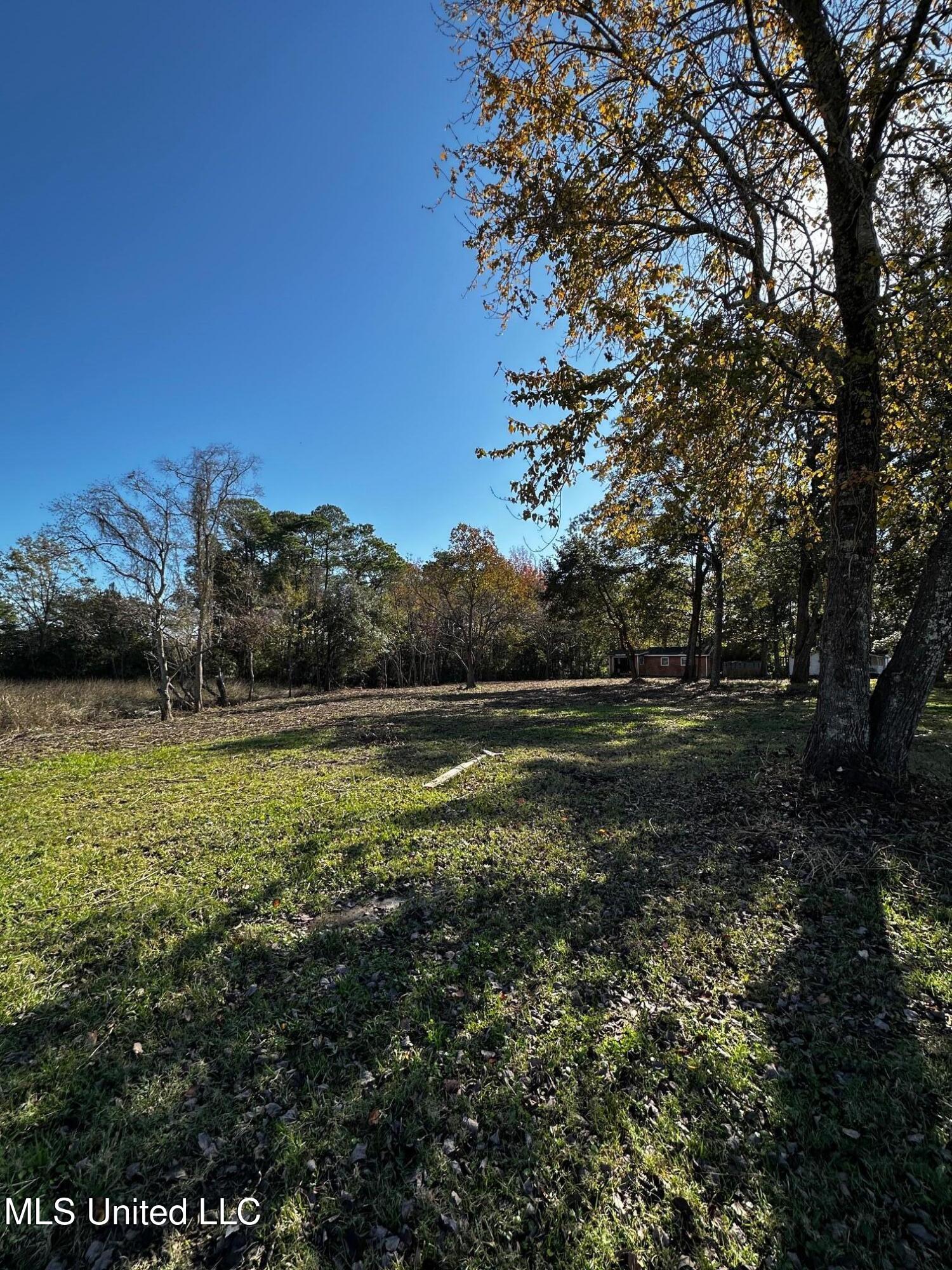 Milstead Road Gautier, MS 39553 - Photo 6 of 9 IMG_2889