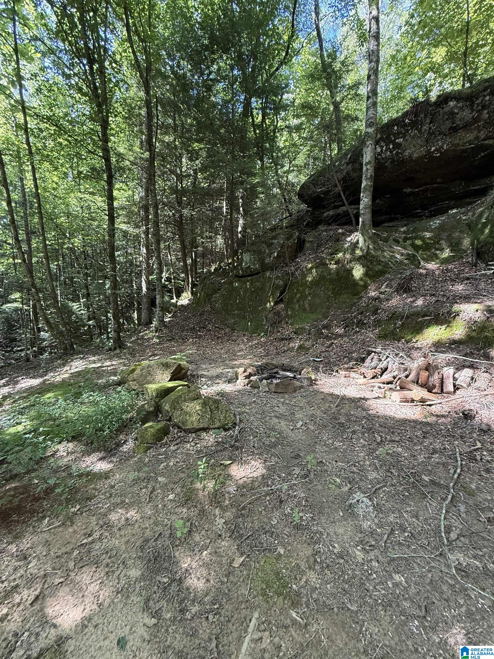 2 County Road 2, Unit 50 / ACRES Double Springs, AL 35553 - Photo 35 of 79