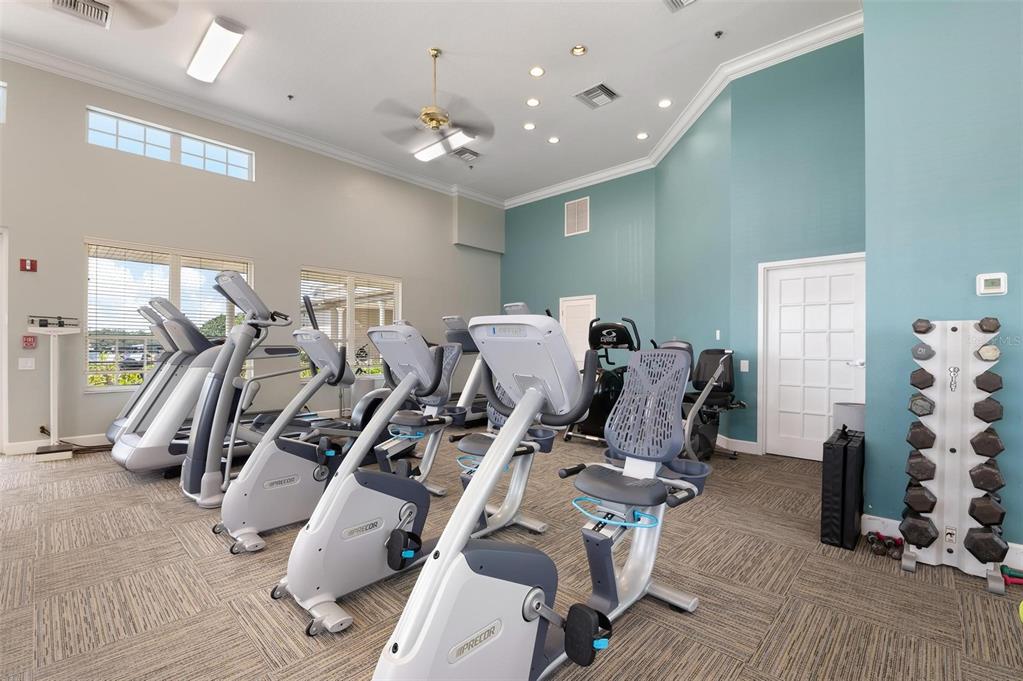 1807 San Trovaso Way Venice, FL 34285 - Photo 43 of 61 a view of a room with gym equipment