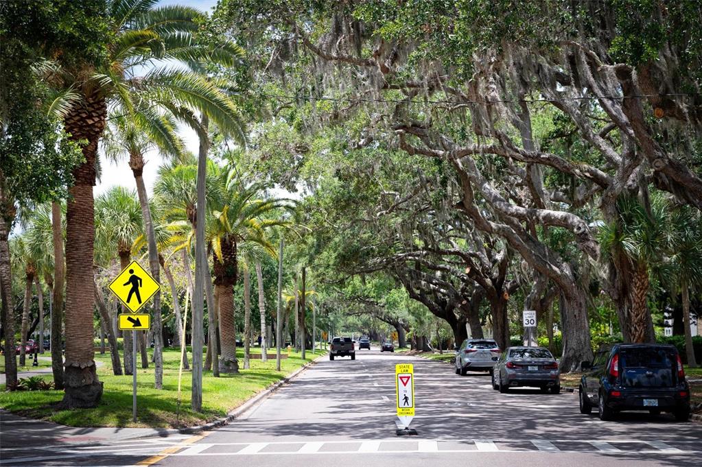 1807 San Trovaso Way Venice, FL 34285 - Photo 50 of 61 a view of street with parked cars