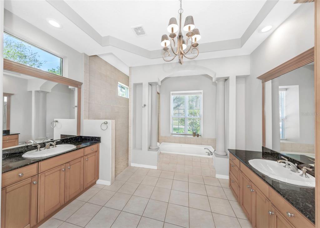 3716 Janus Way Palm Harbor, FL 34685 - Photo 25 of 69 a spacious bathroom with a granite countertop sink a toilet a mirror and shower