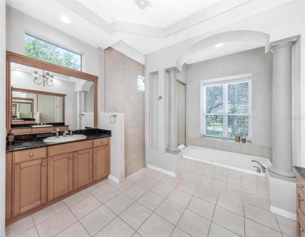 3716 Janus Way Palm Harbor, FL 34685 - Photo 26 of 69