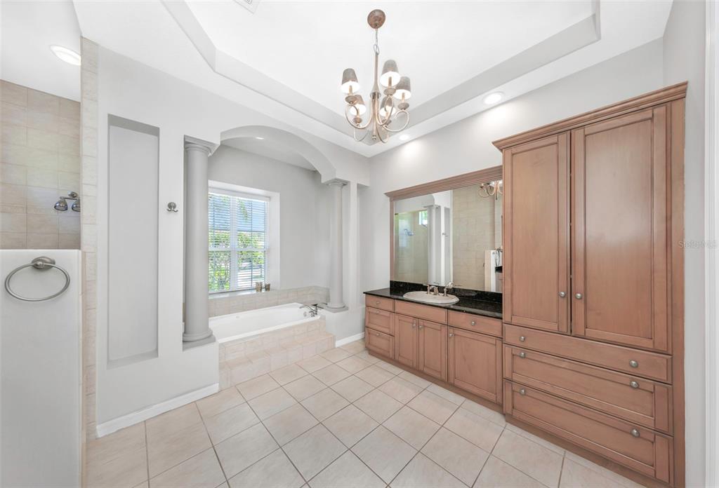 3716 Janus Way Palm Harbor, FL 34685 - Photo 27 of 69