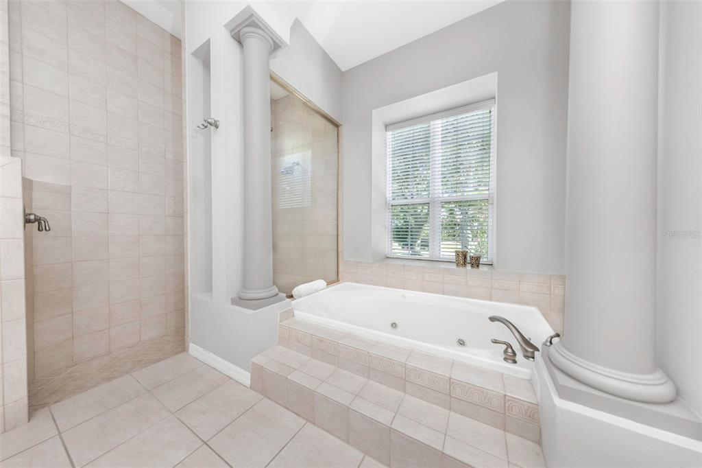 3716 Janus Way Palm Harbor, FL 34685 - Photo 28 of 69 a white bath tub sitting in a bathroom next to a window