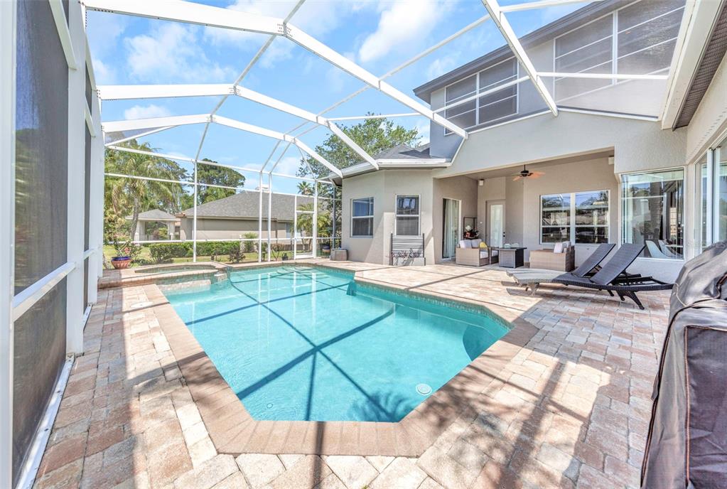 3716 Janus Way Palm Harbor, FL 34685 - Photo 48 of 69