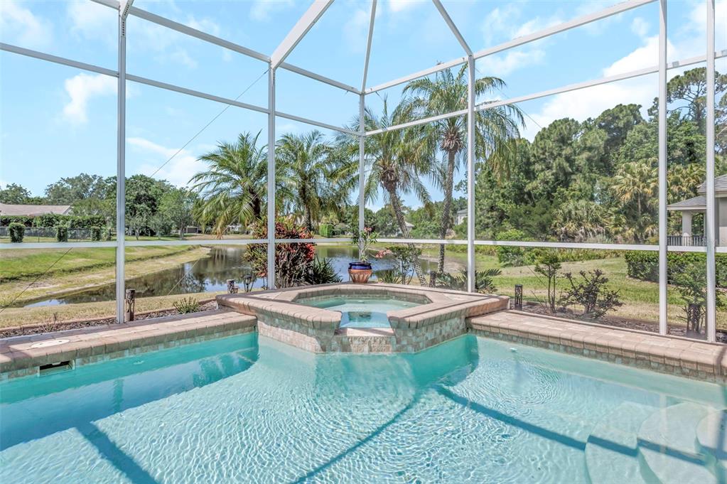 3716 Janus Way Palm Harbor, FL 34685 - Photo 51 of 69