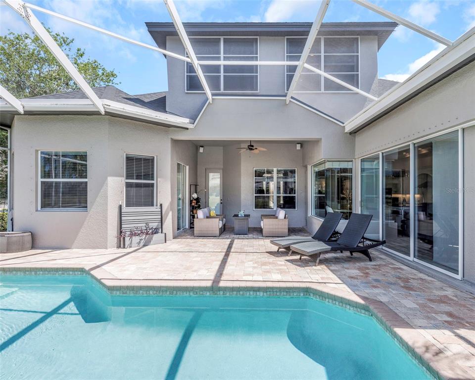 3716 Janus Way Palm Harbor, FL 34685 - Photo 52 of 69