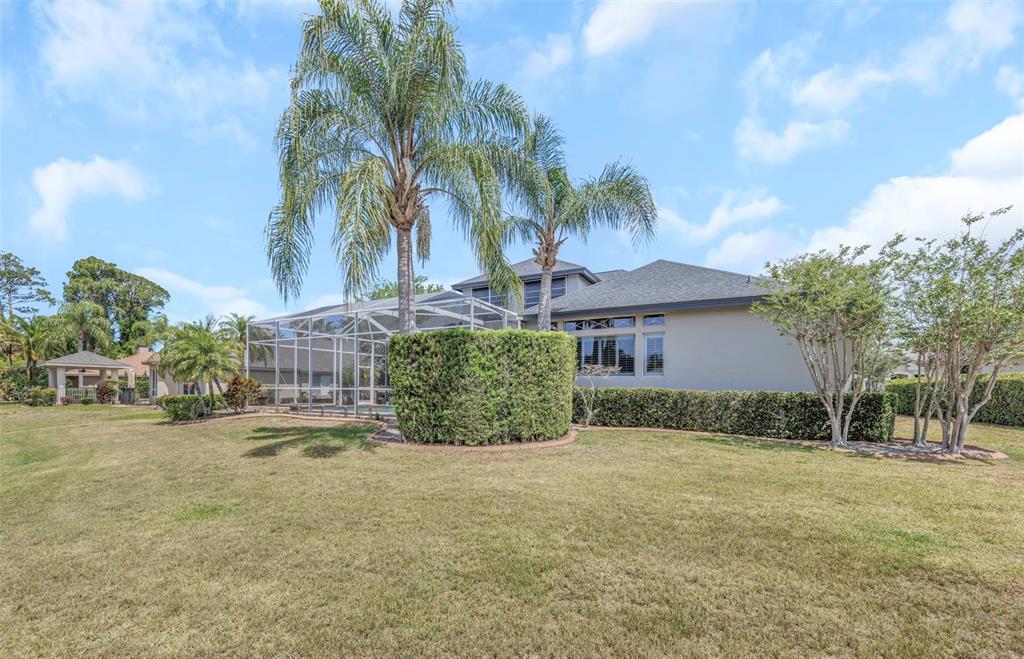 3716 Janus Way Palm Harbor, FL 34685 - Photo 54 of 69 a view of a house with a yard and palm trees