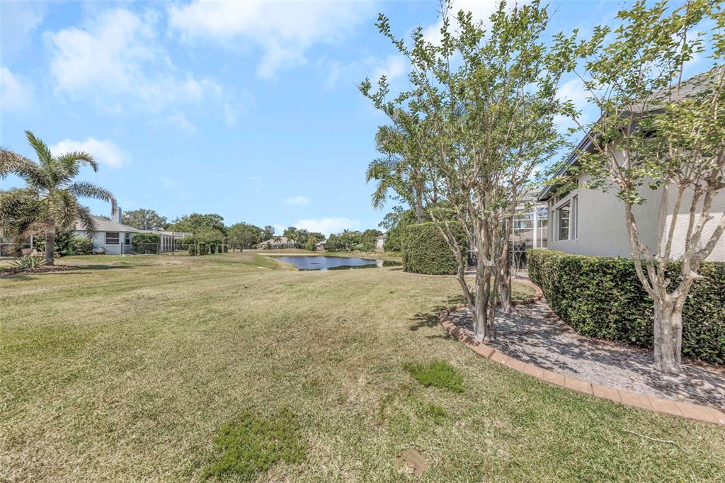 3716 Janus Way Palm Harbor, FL 34685 - Photo 55 of 69