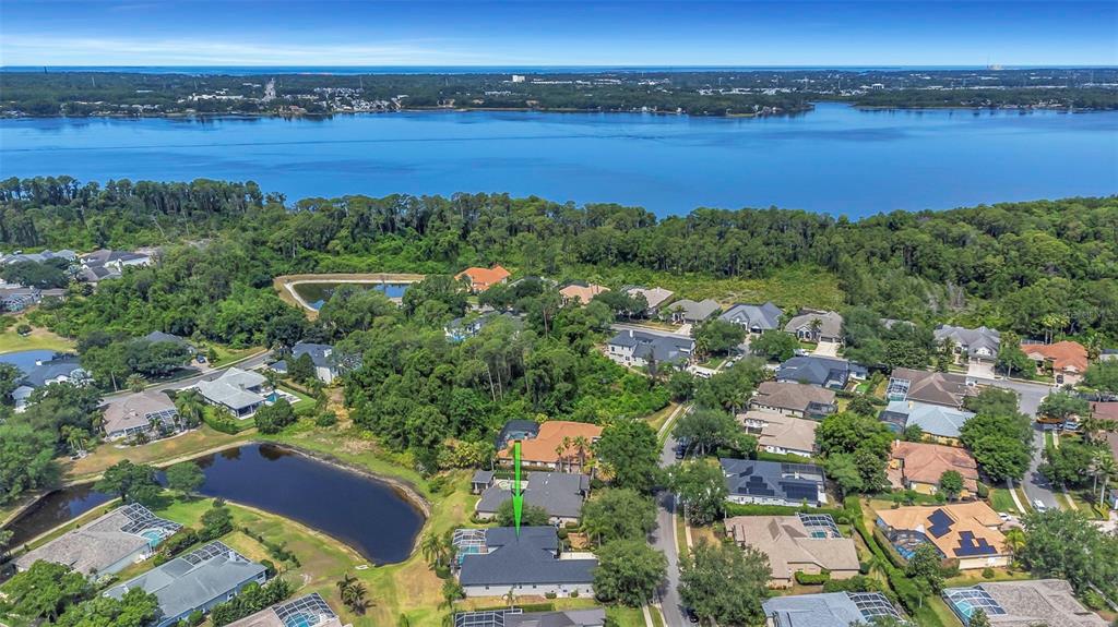3716 Janus Way Palm Harbor, FL 34685 - Photo 56 of 69
