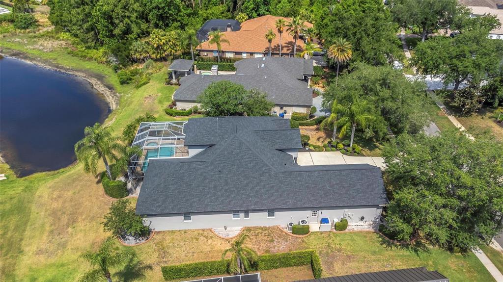 3716 Janus Way Palm Harbor, FL 34685 - Photo 58 of 69