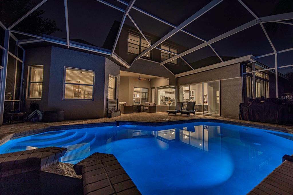 3716 Janus Way Palm Harbor, FL 34685 - Photo 62 of 69
