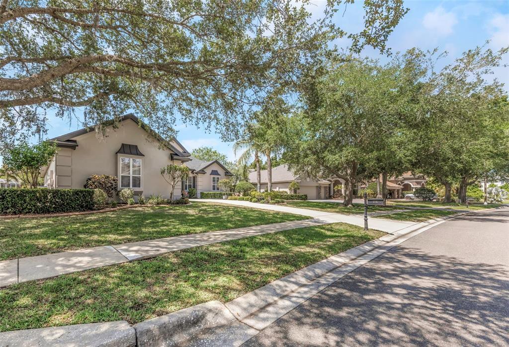 3716 Janus Way Palm Harbor, FL 34685 - Photo 66 of 69 a front view of a house with a yard and trees