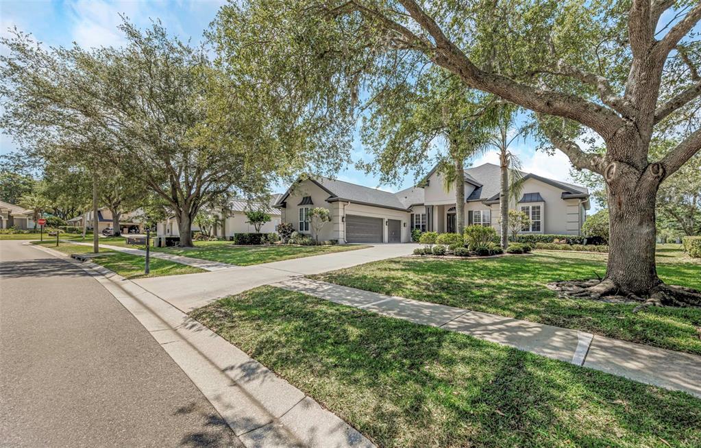 3716 Janus Way Palm Harbor, FL 34685 - Photo 68 of 69