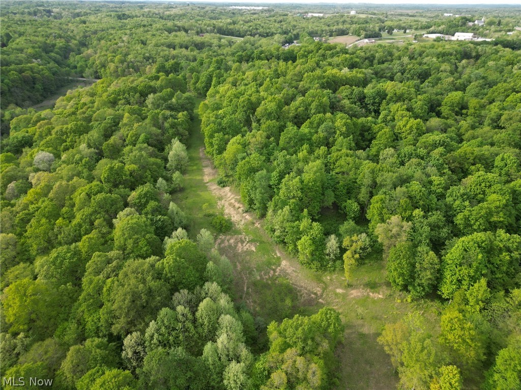 0 Kragel Road Richmond, OH 43944 - Photo 28 of 31 View of birds eye view of property
