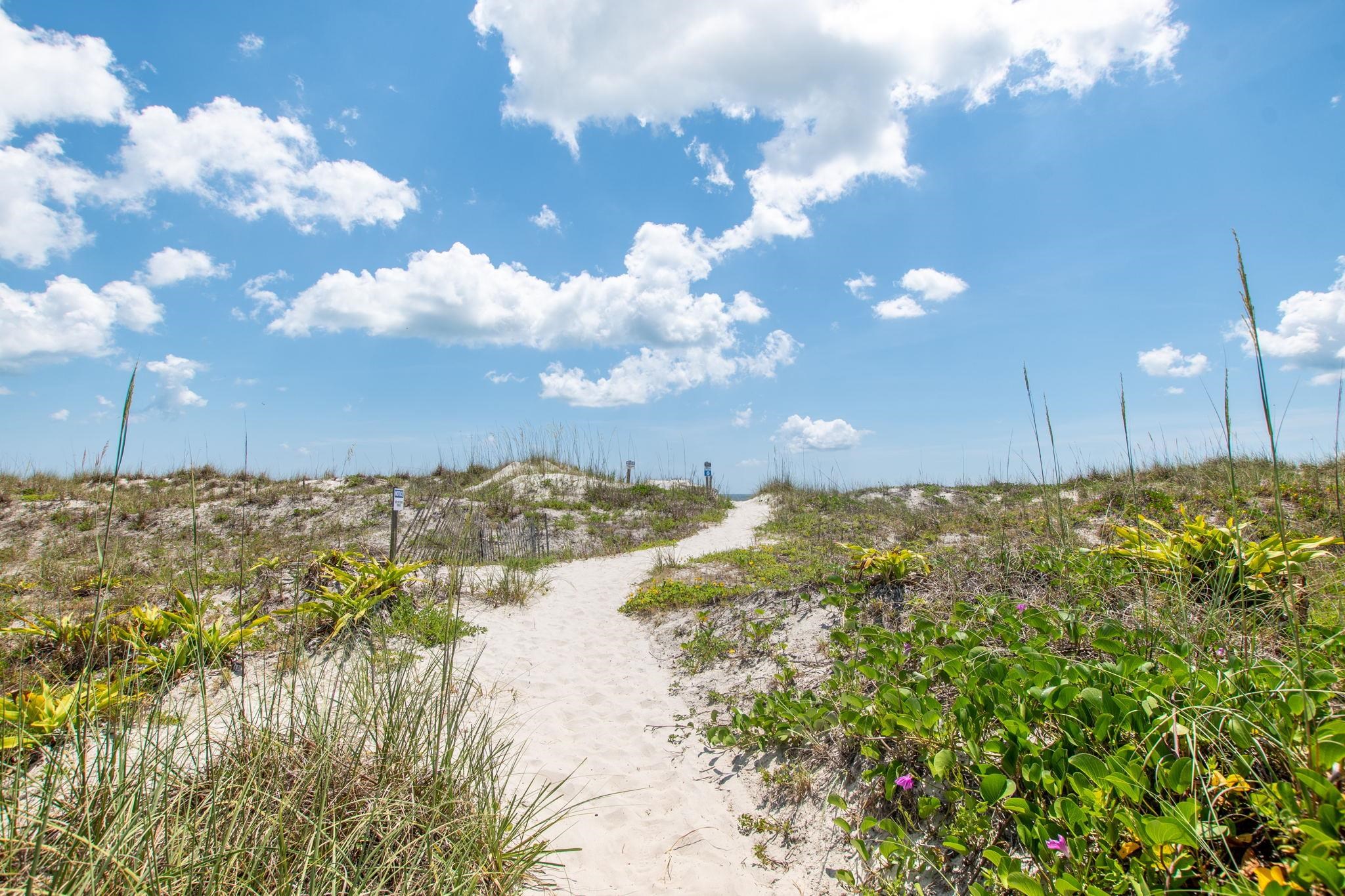 11 C Street St. Augustine, FL 32080 - Photo 38 of 40 a view of a lake