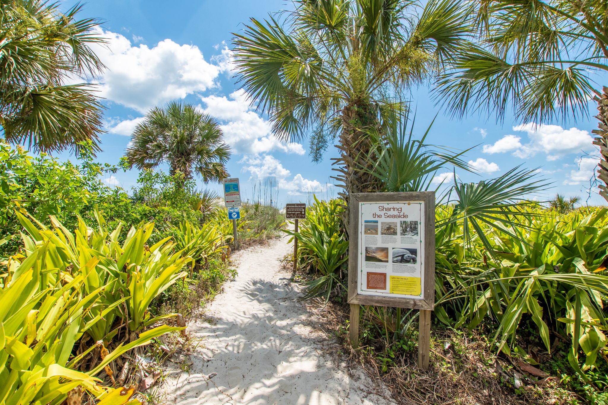 11 C Street St. Augustine, FL 32080 - Photo 7 of 40 a front view of a house with a yard