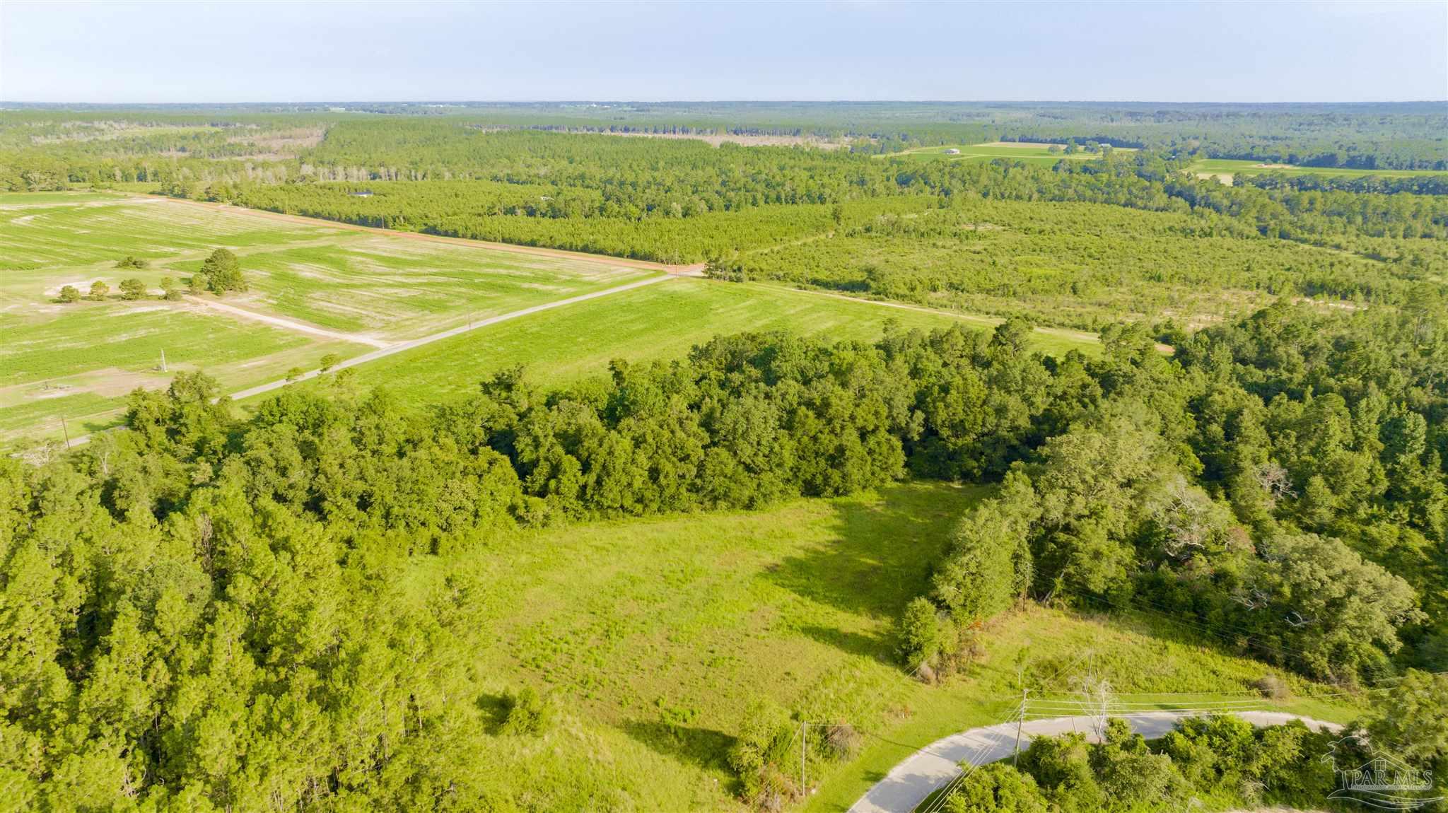 0 Cobbtown Road Jay, FL 32565 - Photo 11 of 15 a view of an ocean view