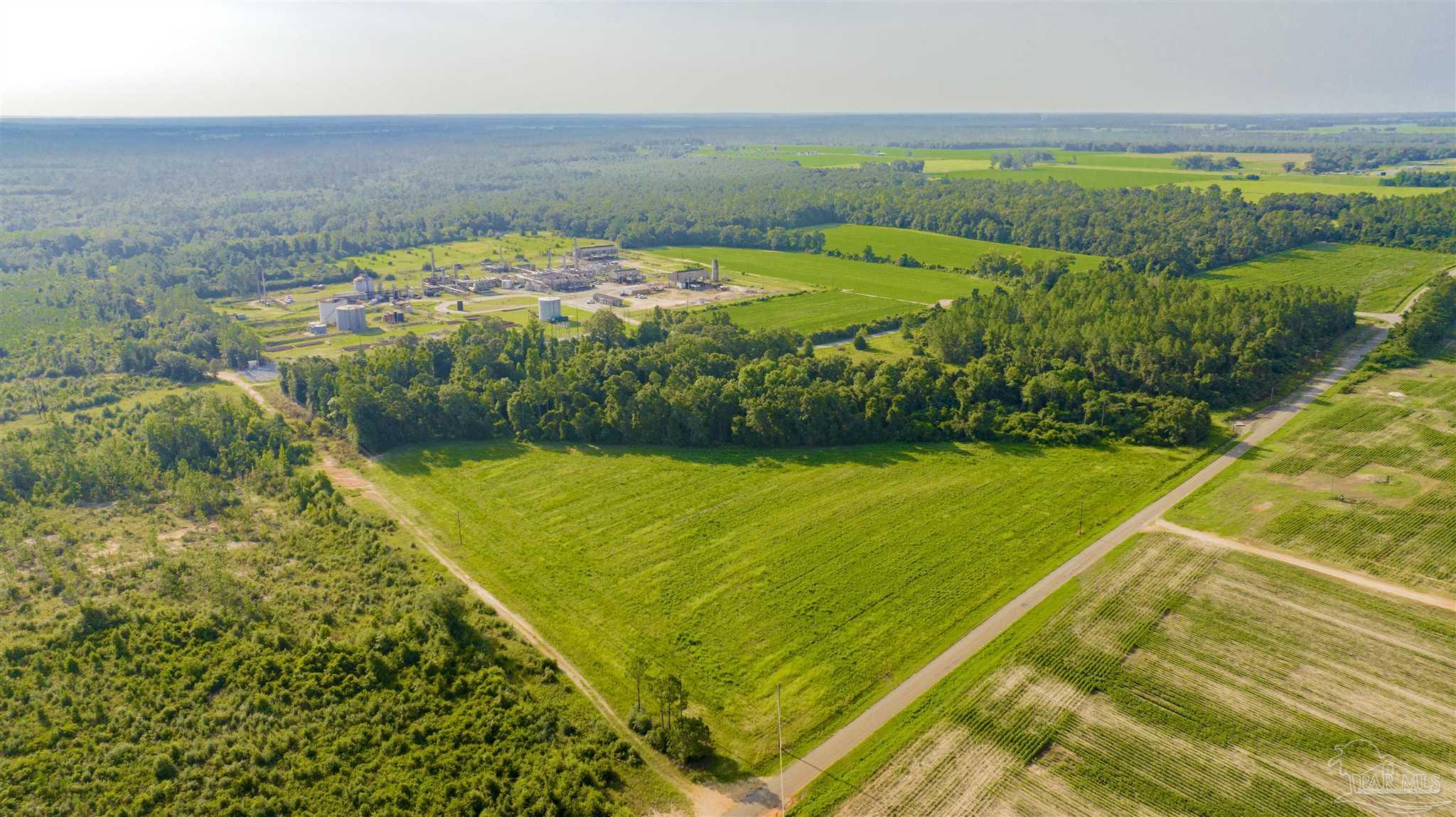 0 Cobbtown Road Jay, FL 32565 - Photo 12 of 15 a view of a garden