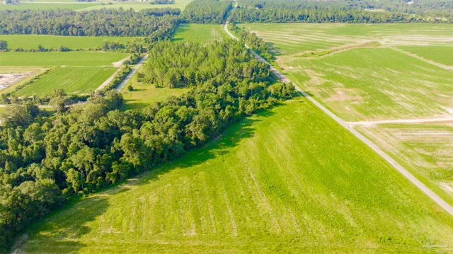 a view of a swimming pool with a yard
