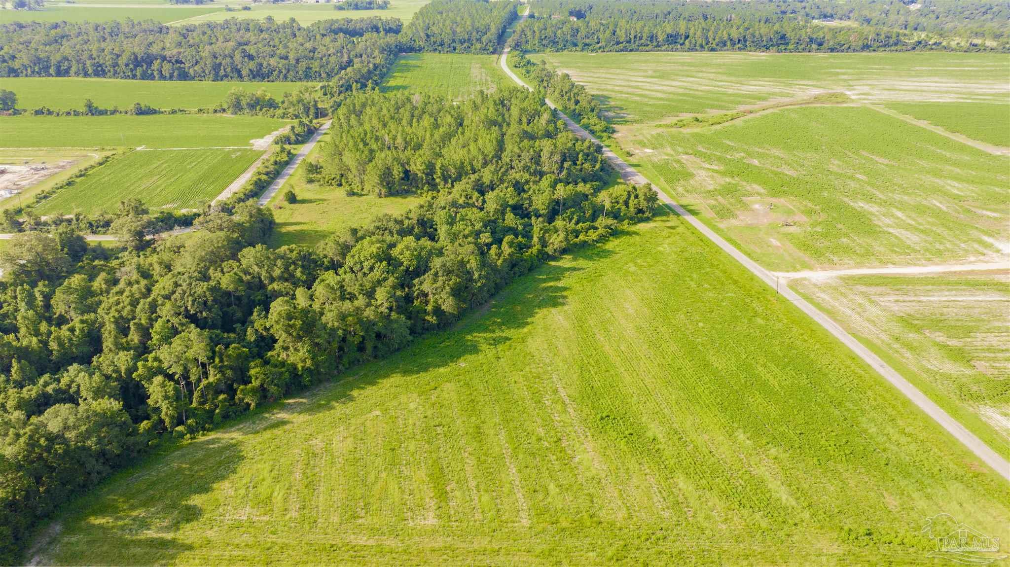 0 Cobbtown Road Jay, FL 32565 - Photo 14 of 15 a view of a swimming pool with a yard