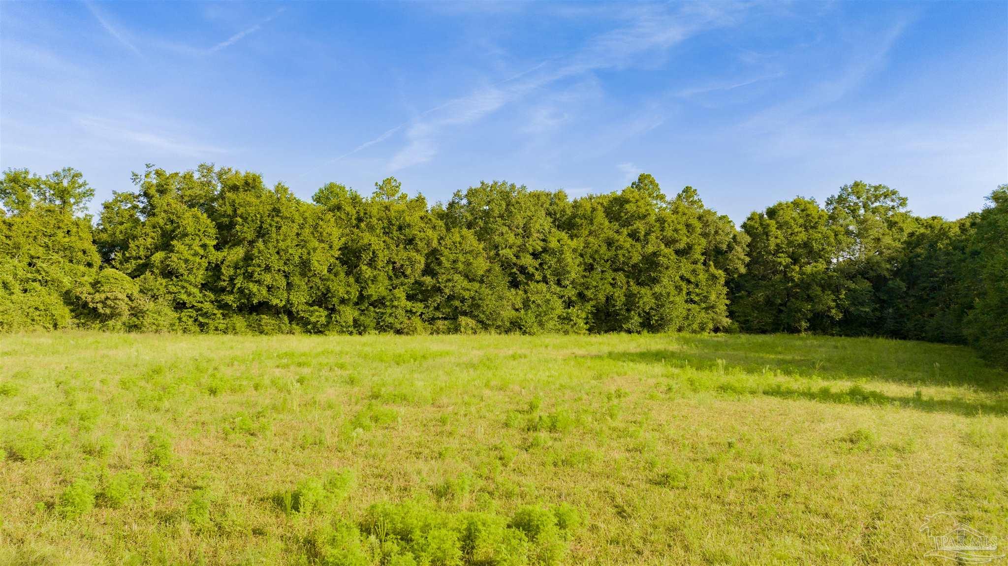 0 Cobbtown Road Jay, FL 32565 - Photo 2 of 15 a view of a yard with an tree