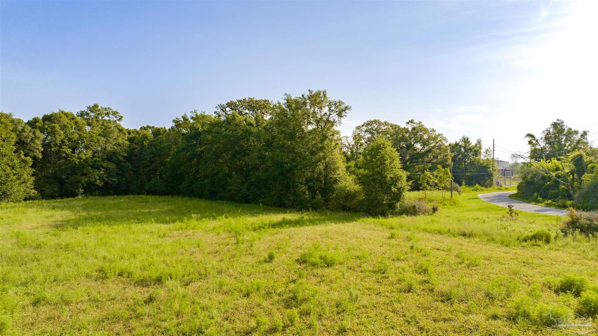 0 Cobbtown Road Jay, FL 32565 - Photo 3 of 15 a view of a yard