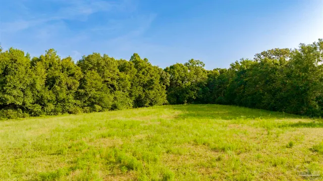 a view of yard with swimming pool and outdoor space