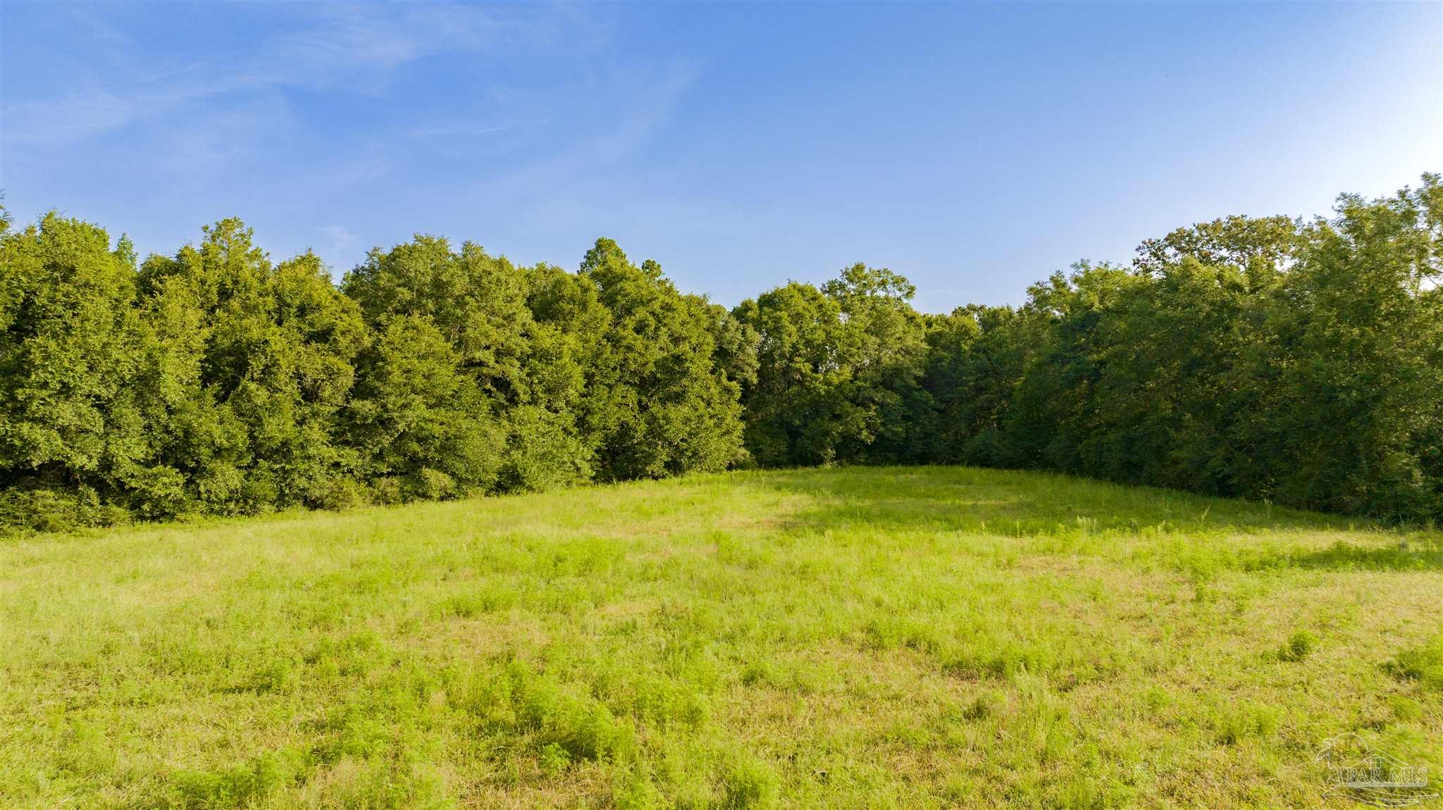 0 Cobbtown Road Jay, FL 32565 - Photo 4 of 15 a view of yard with swimming pool and outdoor space