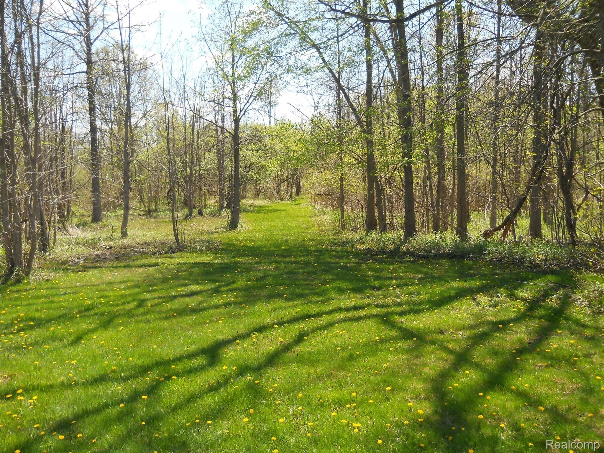5929 Layton Road Fowlerville, MI 48836 - Photo 23 of 24 private trails on property