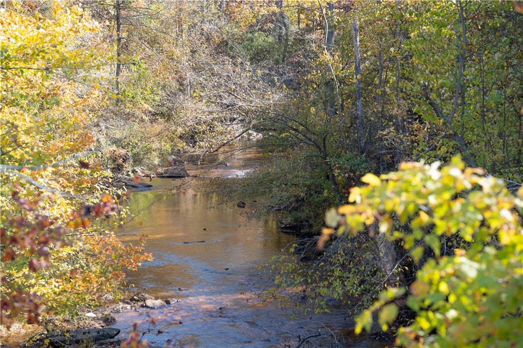 a view of a lake with a tree