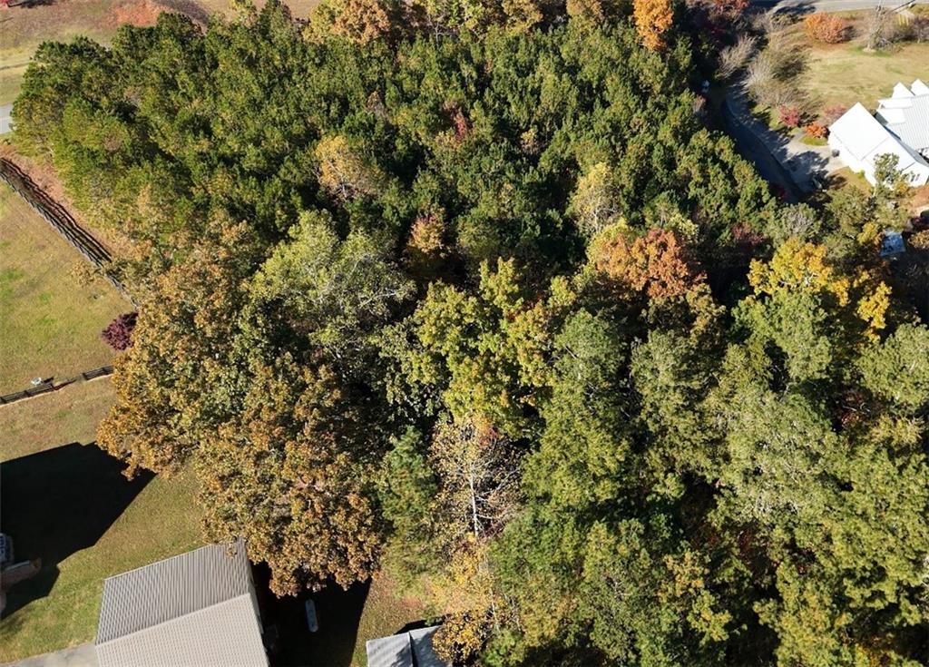 0 Cowart Road Dawsonville, GA 30534 - Photo 11 of 12