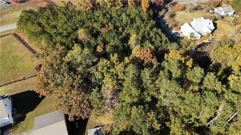 0 Cowart Road Dawsonville, GA 30534 - Photo 12 of 12 a view of a tree in a yard