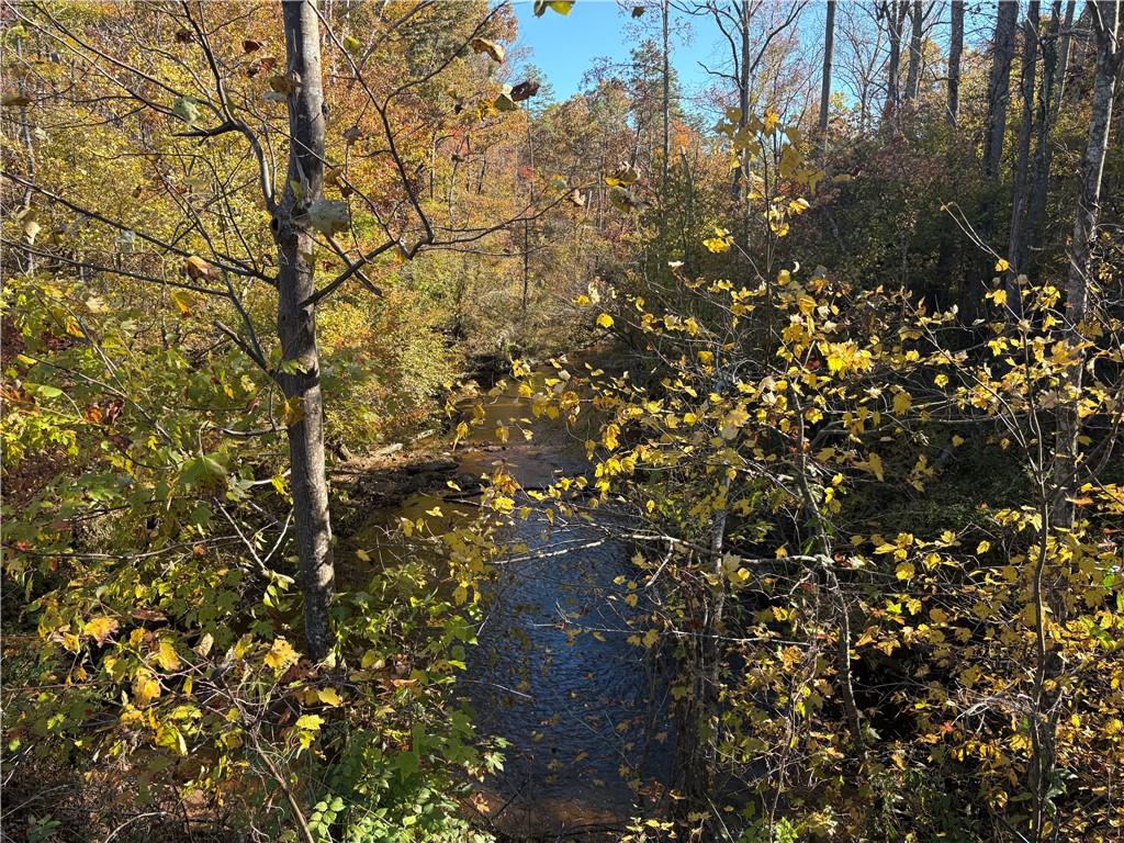 0 Cowart Road Dawsonville, GA 30534 - Photo 2 of 12