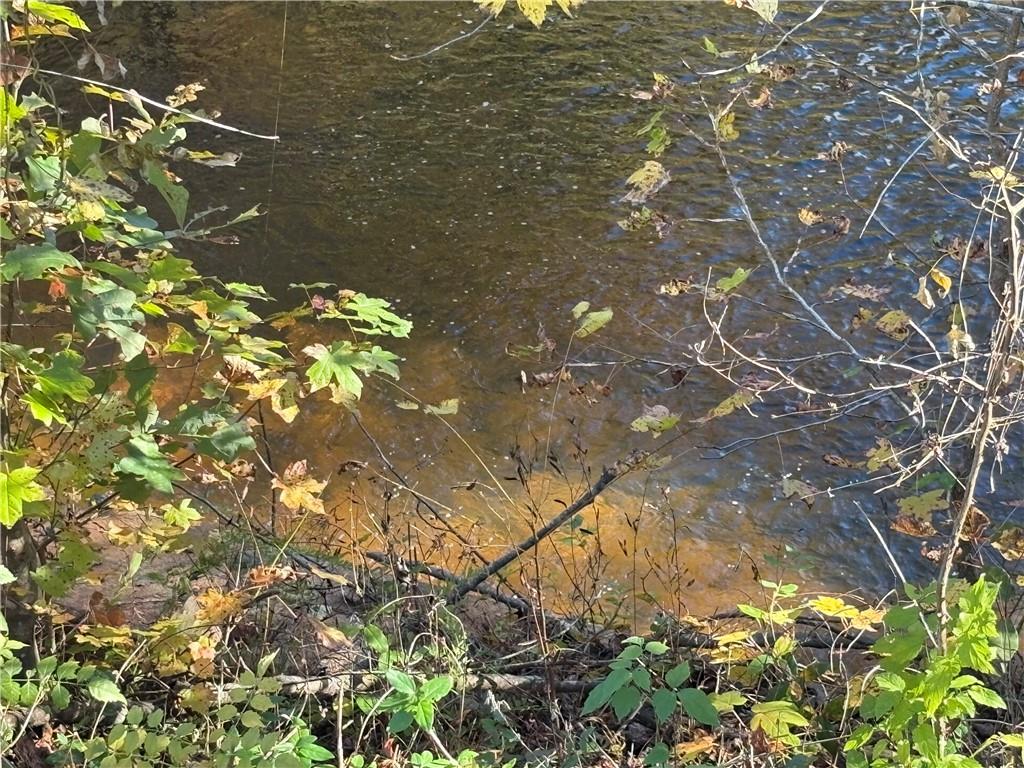 0 Cowart Road Dawsonville, GA 30534 - Photo 5 of 12 a backyard of a house