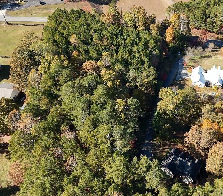 0 Cowart Road Dawsonville, GA 30534 - Photo 6 of 12 a view of a garden with plants