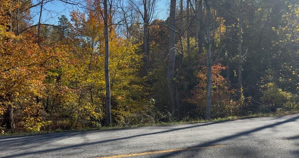 0 Cowart Road Dawsonville, GA 30534 - Photo 7 of 12 a view of a yard from a window