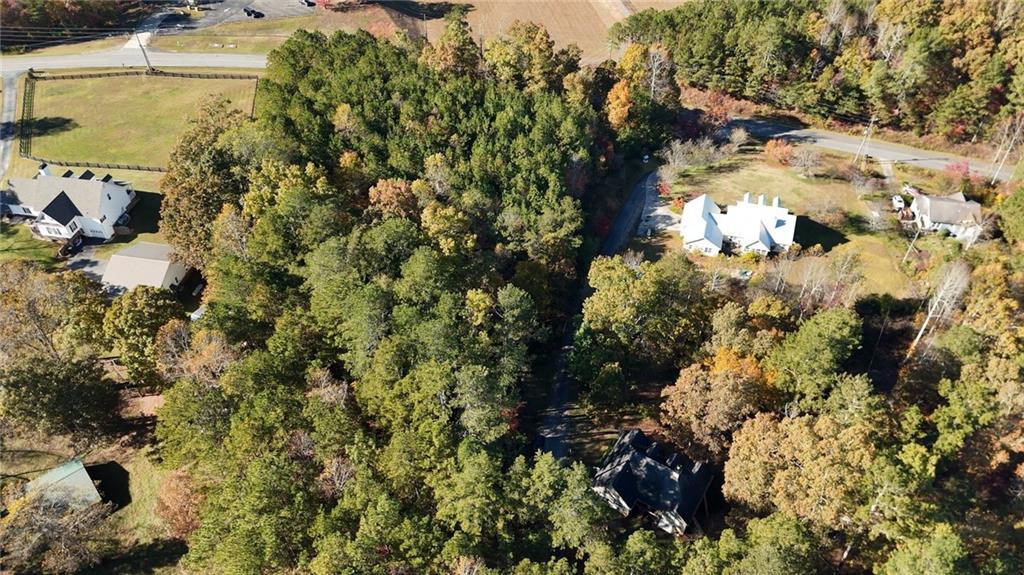 0 Cowart Road Dawsonville, GA 30534 - Photo 8 of 12 a picture of tree