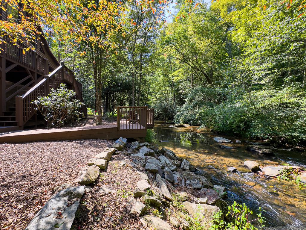 a view of backyard with tree