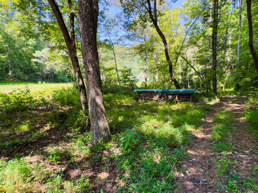 277 Virginia Lane Murphy, NC 28906 - Photo 33 of 63 a backyard of a house with lots of green space
