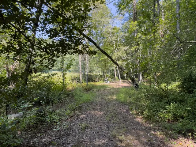 a view of a house with a yard and hanging chair