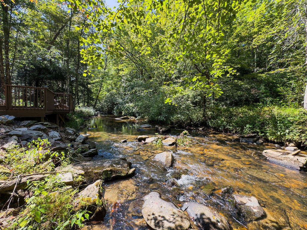 277 Virginia Lane Murphy, NC 28906 - Photo 36 of 63 a view of a tree with a yard