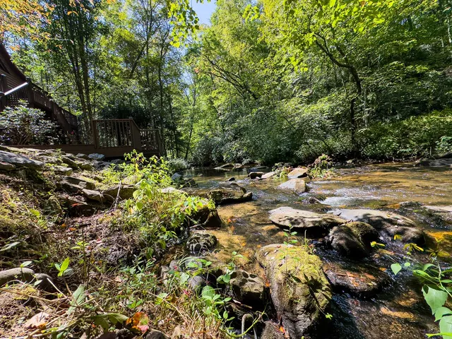 a view of a house with large trees in the background